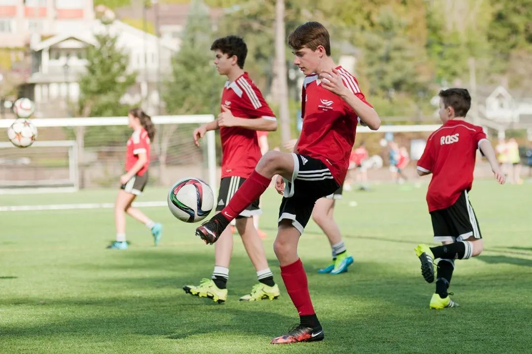 乐鱼app-乐鱼(官方)体育官方网站-LEYU SPORT